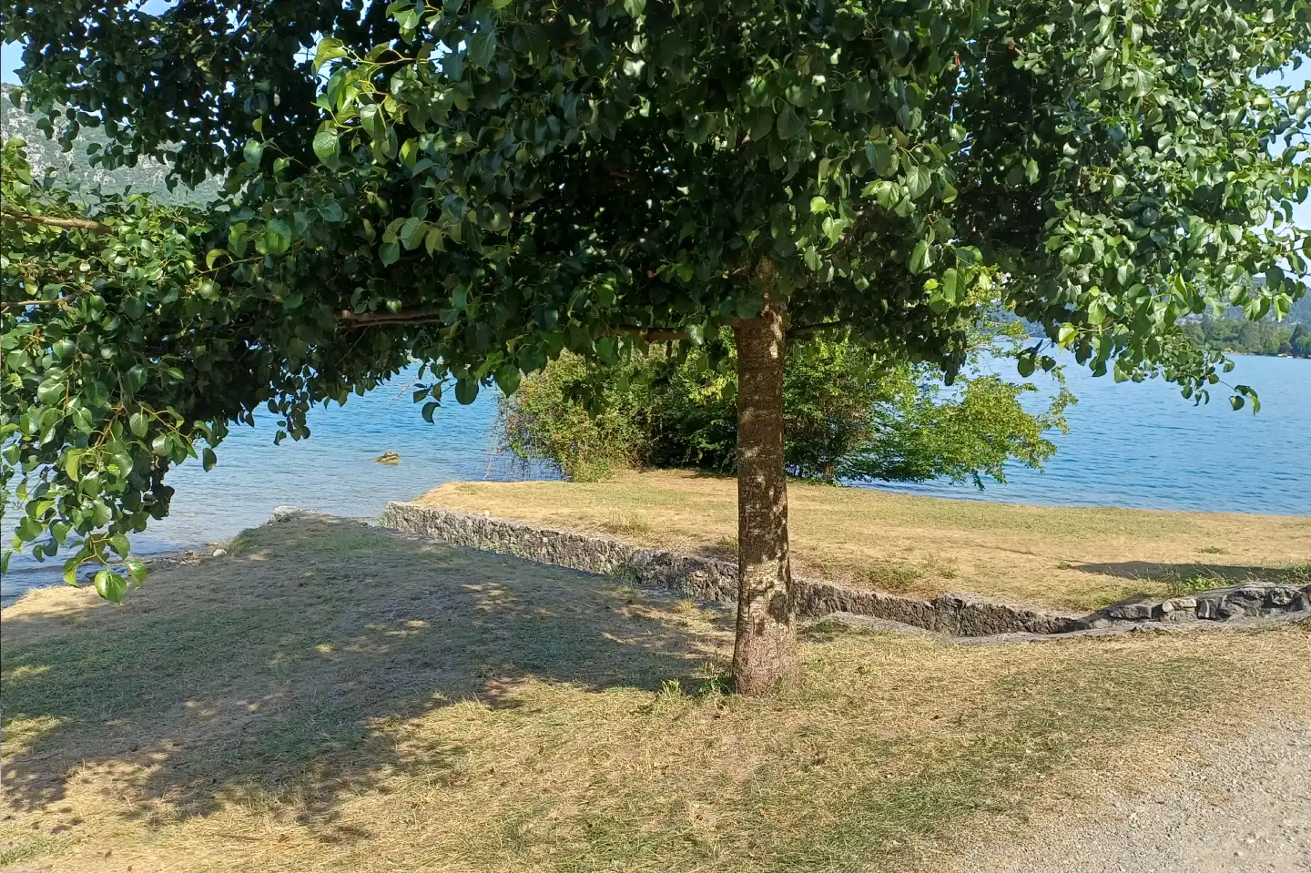 Vue sur le lac d'Annecy depuis la plage de la Balmette à Talloires