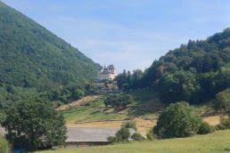 Visite du Chateau de Menthon Saint Bernard