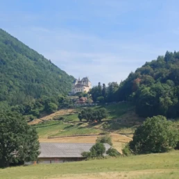 Visite du Chateau de Menthon Saint Bernard