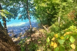 Plage secrete à talloires, jet de la rose