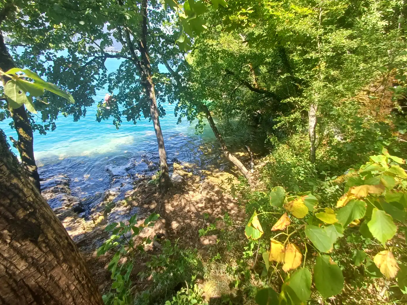 Crique du Jet de la Rose au pied des falaises du Roc de Chère, Talloires-Montmin