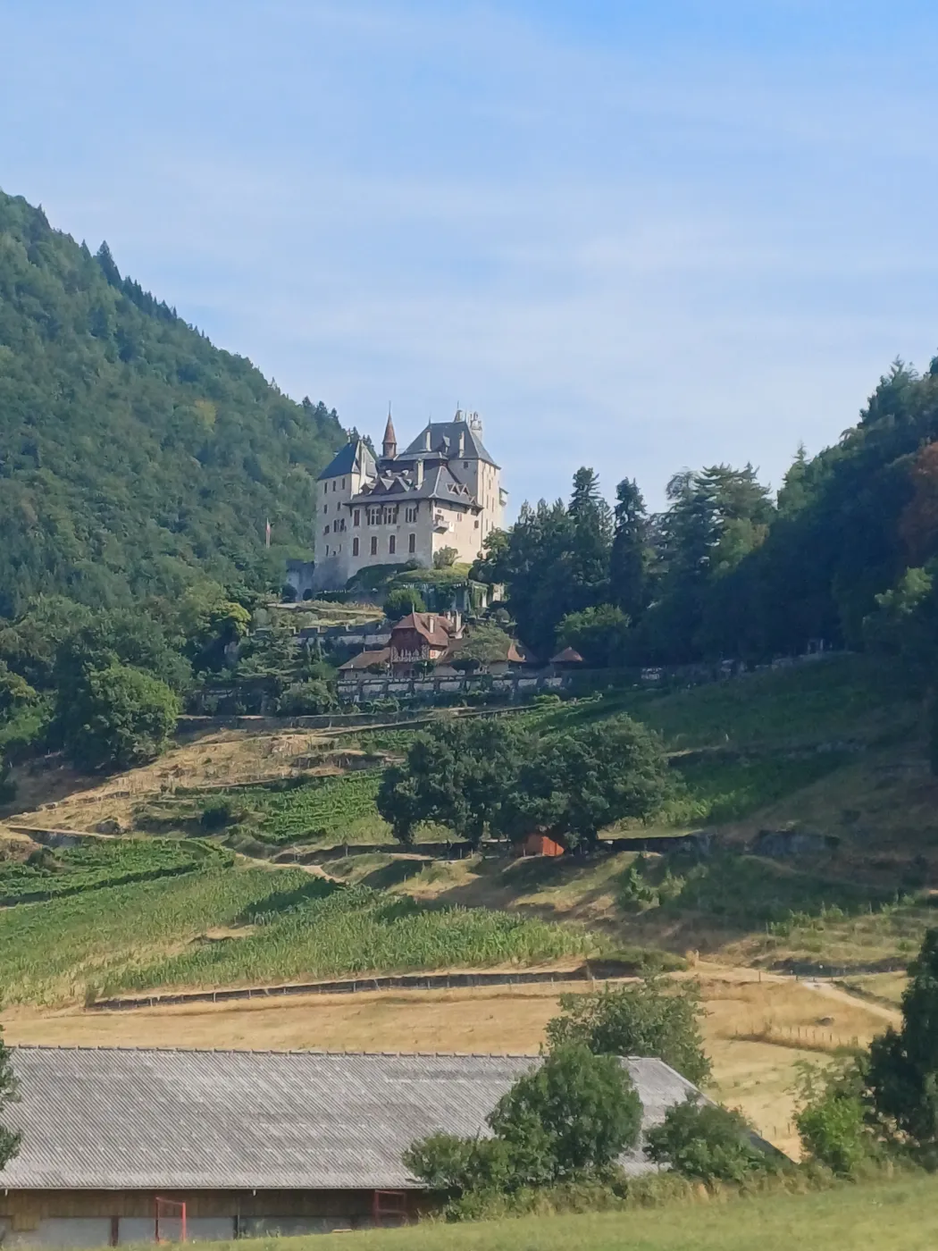 Château de Menthon-Saint-Bernard dominant le lac d'Annecy depuis son éperon rocheux