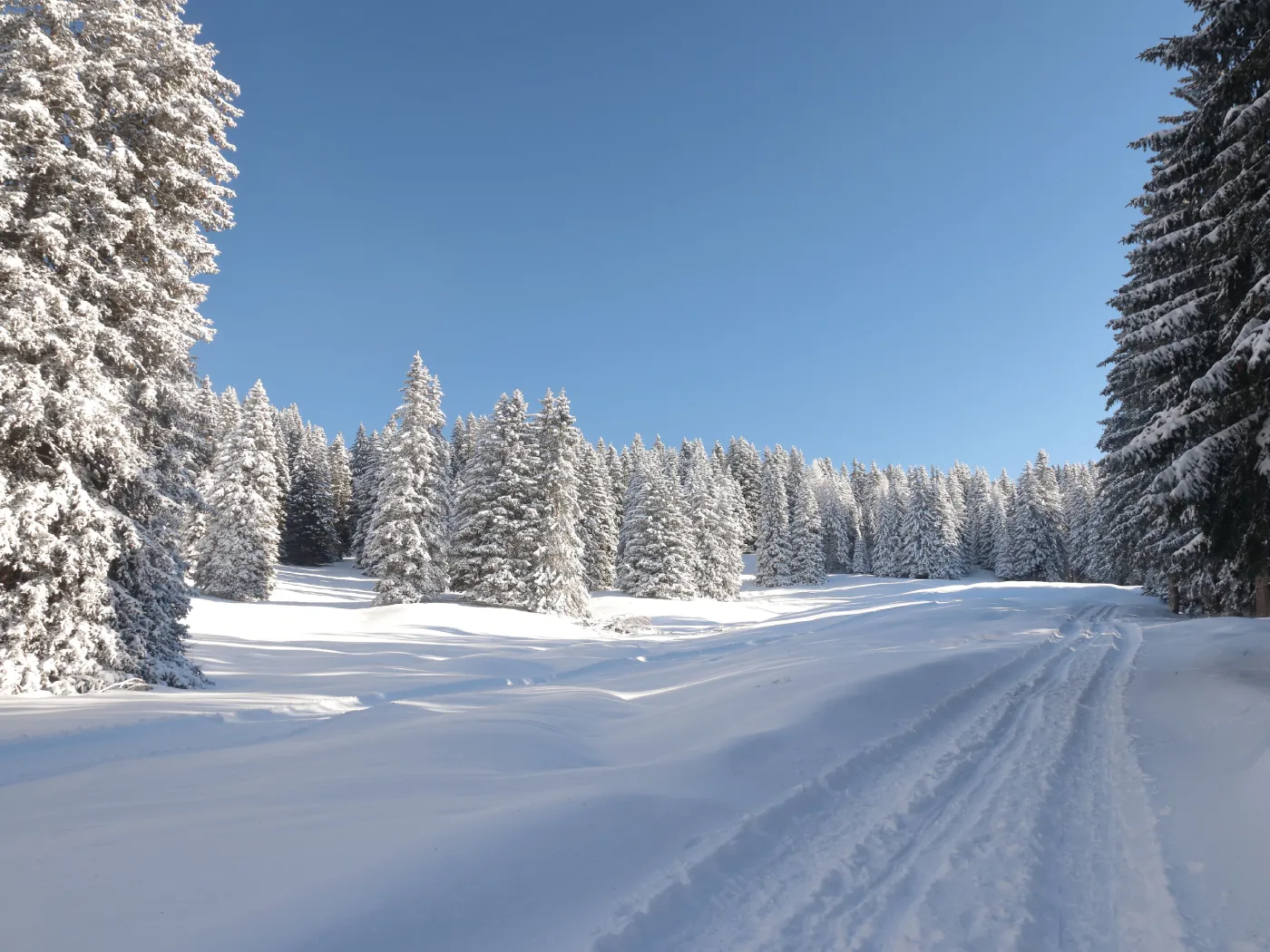 Le Semnoz en hiver, domaine de ski nordique au dessus du lac d'Annecy